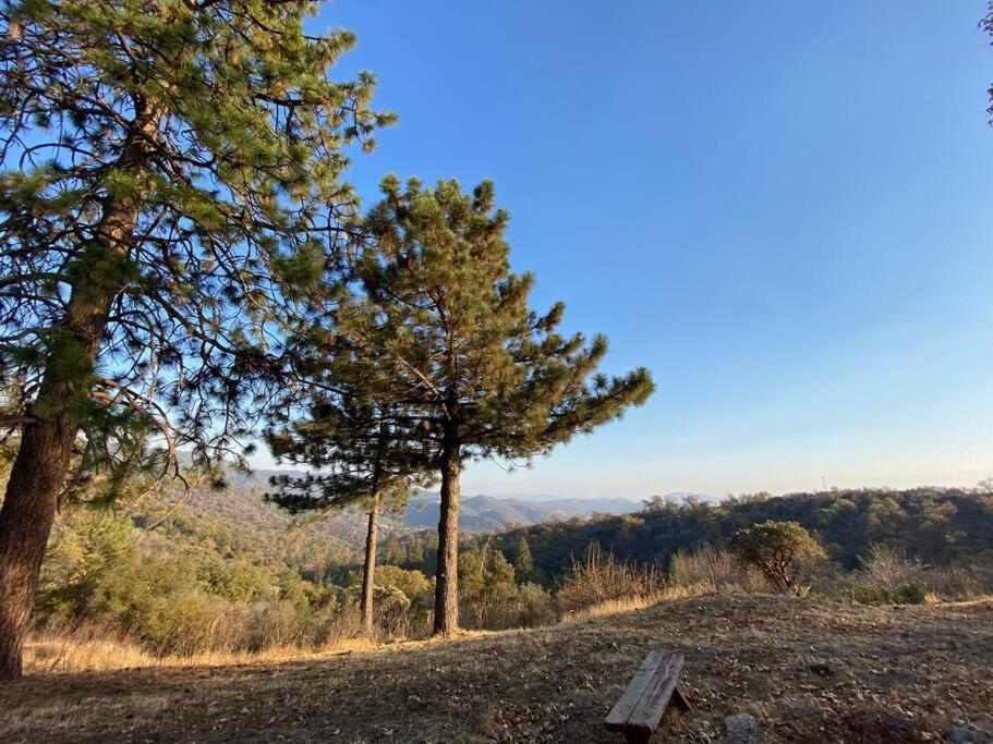 Dunlap Modern Airstream With Amazing View - 10 To 15 Minutes From Kings Canyon National Park מראה חיצוני תמונה